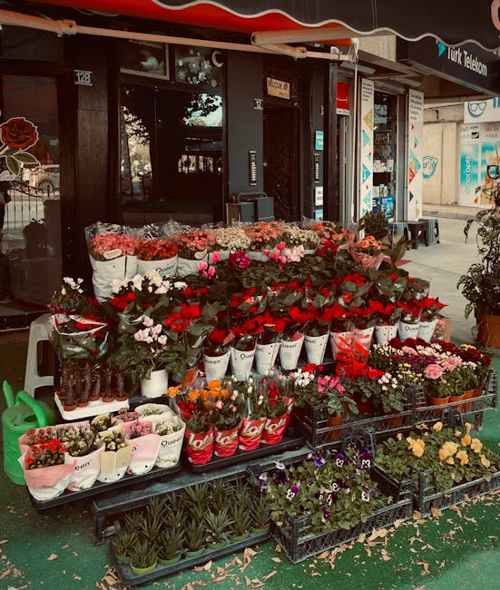 An outdoor flower display showcases a variety of fresh flowers arranged in white, pink, and red wrapping paper, as well as black baskets. The arrangement includes vibrant red anthuriums, delicate pink