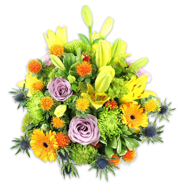 Framed by a clean white background, this abundant, mounded bouquet combines exuberant colour with considered structure-a design you might see from Florist South Croydon in our shop before it goes out for local delivery. Several radiant yellow Asiatic lilies dominate the silhouette; some blooms are fully unfurled with their speckled inner petals and long stamens visible, while others remain slender, green-tinted buds that suggest a second wave of flowering. Two or three soft lavender-purple roses sit near the centre, their compact spirals offering a calming focal point amid the warmer hues. Sun-bright orange Gerberas punctuate the mass with their wide, flat petals radiating from darker discs, and clusters of lime button chrysanthemums create plush, mossy islands of texture. Tiny round orange and golden-yellow accent blooms-reminiscent of Craspedia or similar pom-style flowers-add cheerful specks throughout. A few blue-grey Eryngium thistles extend from the lower and side edges, their spiky, architectural forms introducing a cool, interesting counterpoint to the predominantly warm palette. Varied greenery-broad lily leaves, glossy fillers and feathery sprigs-weaves through the flowers, providing depth and a natural framework that keeps the composition feeling fresh. Under soft studio light the petals show subtle sheen and translucence; one can almost sense the mingled fragrance of lilies and roses tempered by green, leafy notes. This arrangement reads as celebratory and consoling at once, suitable as a heartfelt gift for birthdays, anniversaries, or to lift a room. We prepare and deliver similar pieces across South Croydon, to Croydon High Street flats and houses near Lloyd Park, often packaged to preserve freshness until arrival.