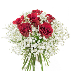 There's a quiet joy in assembling a bouquet as evocative as this: a circle of rich, red roses, each bloom unfurling silky petals in deep, velvety crimson, surrounded by an ethereal halo of white gypsophila. Within the glass vase, the arrangement settles into a compact, rounded embrace, the roses' stems vividly green, standing tall and fresh - a visual echo of South Croydon's leafy lanes and nearby woodland parks. The interspersed baby's breath creates a delicate textural counterpoint, their fine, cloud-like clusters imbuing the bouquet with lightness and innocence. Under soft natural light pouring through a window, the deep reds become luminous, while the white blossoms seem almost translucent. This design is unmistakably romantic, equally suited to marking an anniversary along the Brighton Road or offering a tender message of love after a walk through Park Hill. Each component is chosen for harmony: the smooth velvet of the rose petals, the airy softness of gypsophila, the clean transparency of the vase. In the hands of a skilled South Croydon florist, the arrangement becomes more than a gift - it's a heartfelt expression made tangible, embodying comfort, ardour, and the nuanced artistry of local floristry.