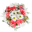 This radiant bouquet is crafted to capture the essence of South Croydon's bright, bustling spirit-a celebration of spring's renewal, expertly arranged for both beauty and meaning. At its centre, luminous white daisies with chartreuse hearts shimmer among ruffled coral-pink carnations, their gentle fullness evoking the playful energy of children in Croham Manor Fields. Interwoven gypsophila adds a feathery softness, while eucalyptus and forest-green sprigs give the arrangement both visual depth and a calming, herbal fragrance. Look closely and you'll spot hints of delicate alstroemeria-still in bud, their blush streaks a promise of blossoms yet to open, not unlike the emerging potential of South Croydon's thriving community. Artfully balanced, this circular composition radiates outward, inviting light and joy. It's an ideal bouquet for marking birthdays, sending heartfelt congratulations, or simply brightening someone's day-from a family home near Coombe Lane to an office in the heart of CR2. The bouquet's fresh palette and meticulously layered textures serve as a tribute to local floristry craftsmanship, infusing any space with tranquillity, hope, and understated celebration.